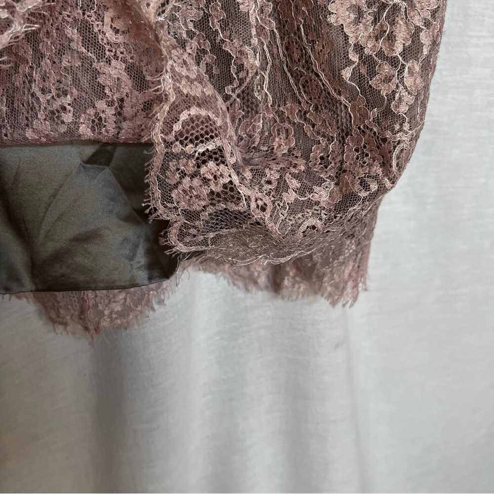 Dana Buchman Light Pink Lace Over Gray Tank Top. Size 12 - Picture 3 of 9